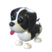 Black Springer Spaniel - Ultra-Rare from Easter 2022